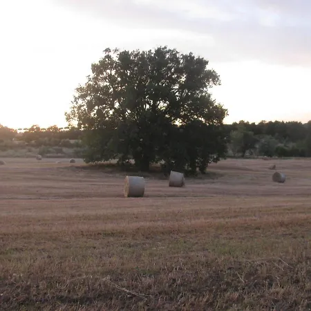 Casavacanzetorresansevero Hébergement de vacances