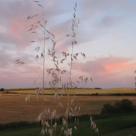 Casavacanzetorresansevero Orvieto