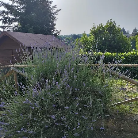 Casavacanzetorresansevero Orvieto