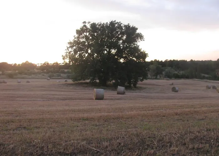 Casavacanzetorresansevero 펜션