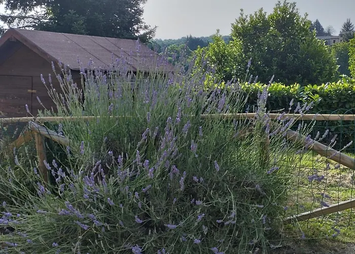 Casavacanzetorresansevero 오르비에토